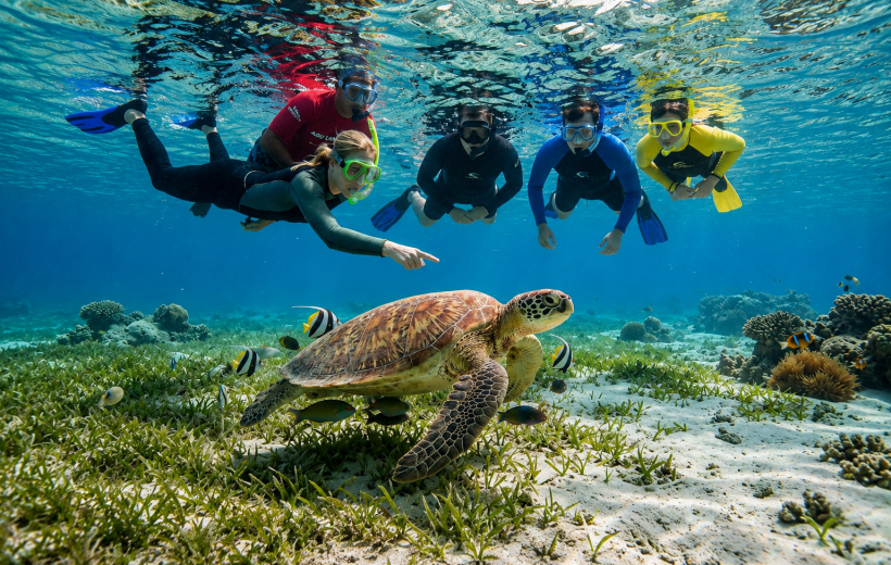 The Best Snorkeling and Diving Spots in the Red Sea
