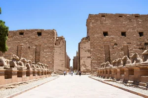 Gallery Thumbnail 10