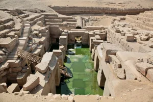Gallery Thumbnail 1