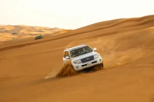 Gallery Thumbnail 5